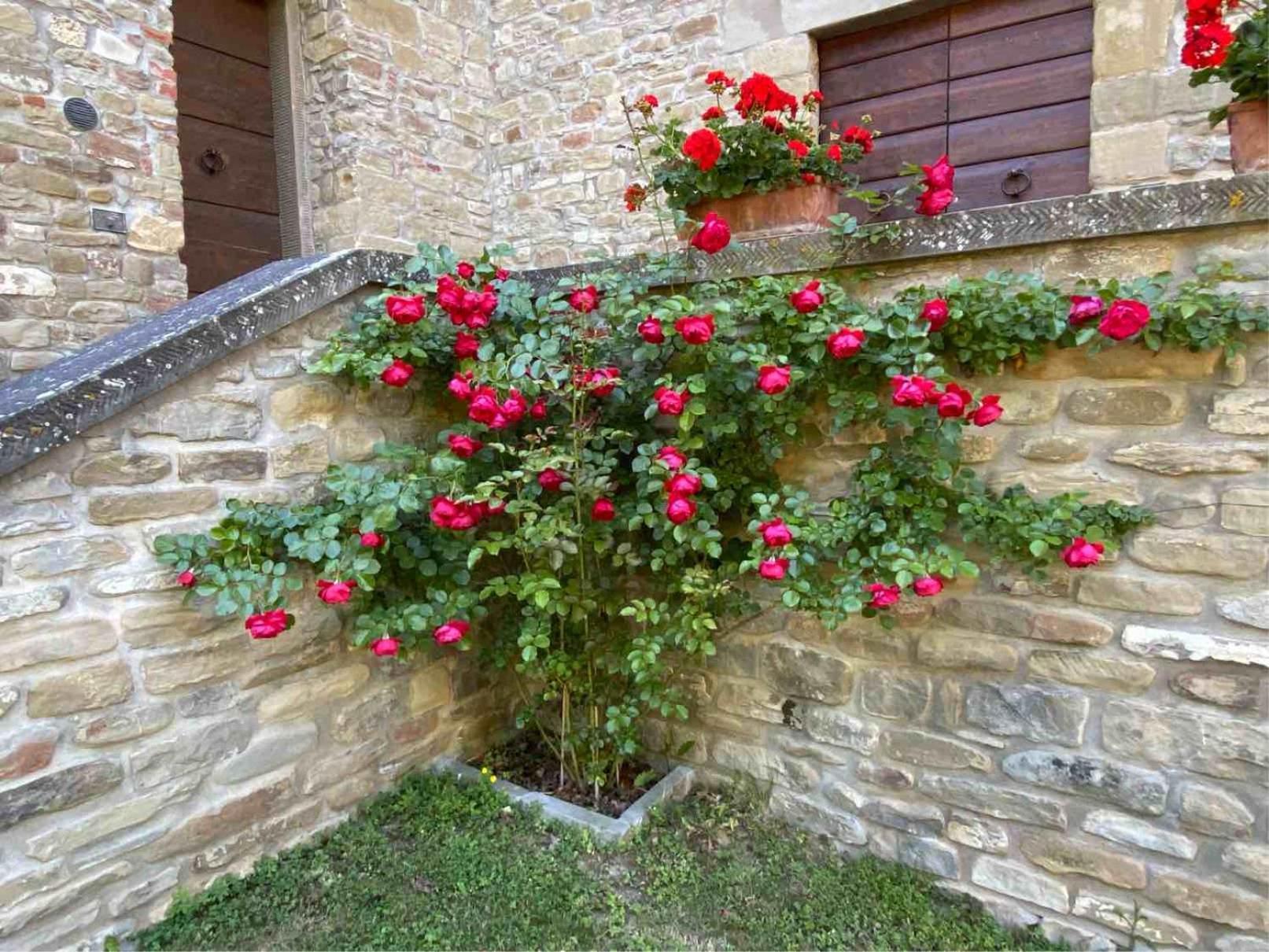 Agriturismo Popolano Di Sotto Марради Экстерьер фото