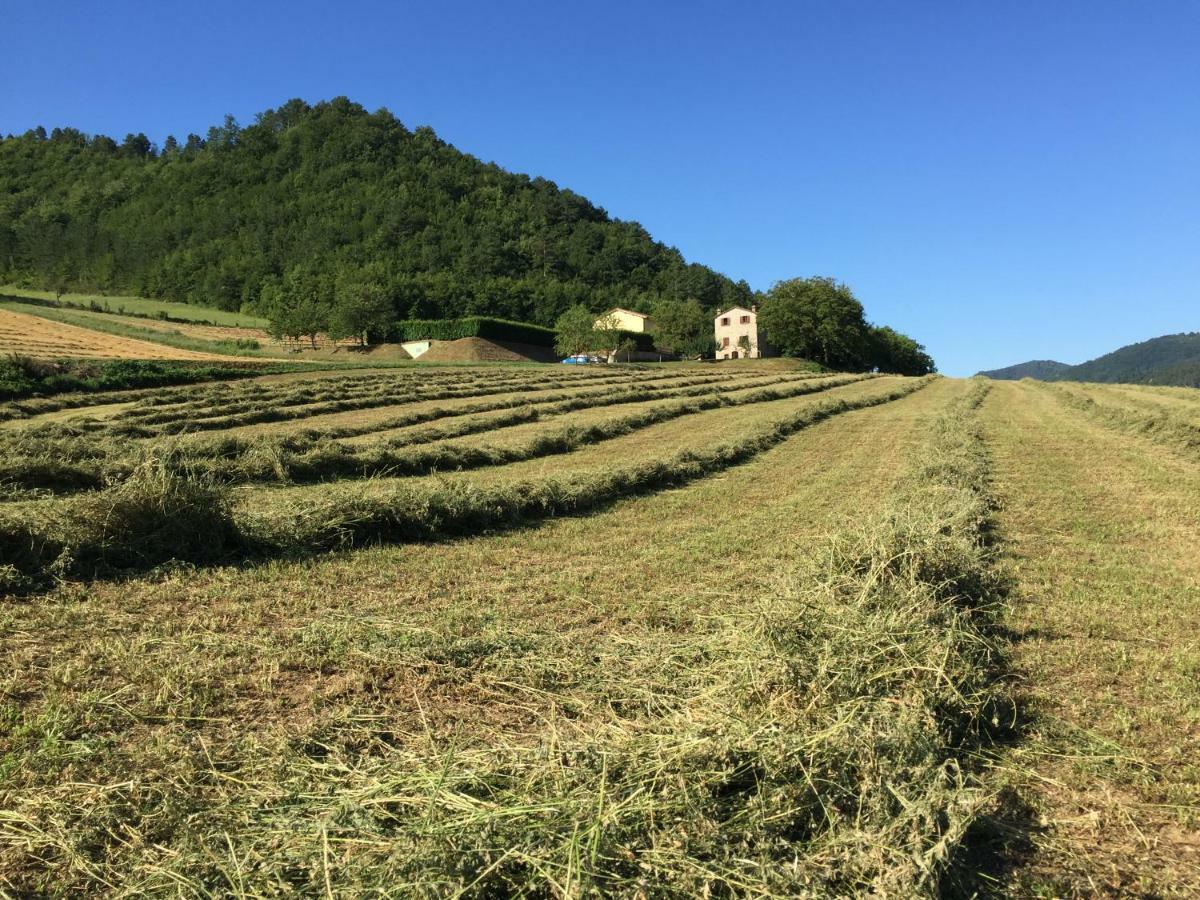 Agriturismo Popolano Di Sotto Марради Экстерьер фото